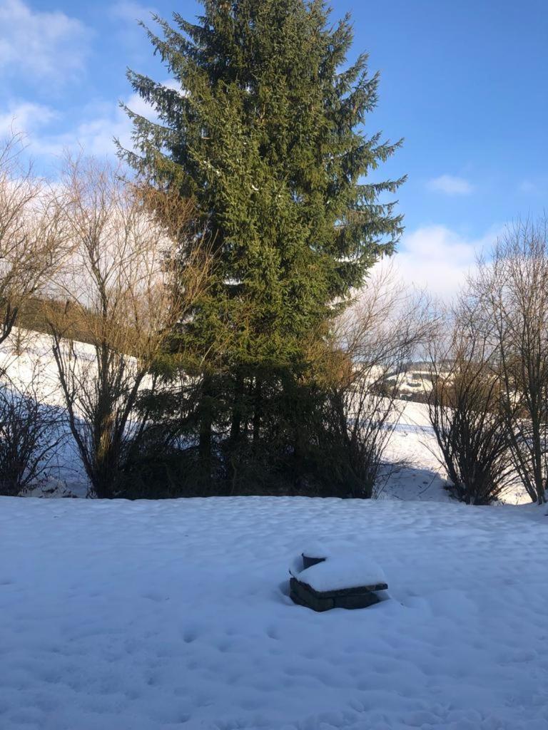 Am Steinsbach